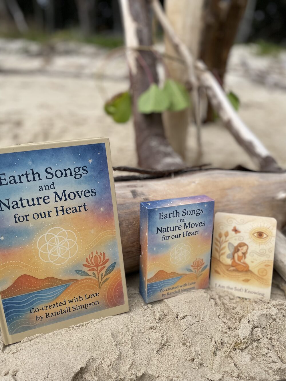 The guidebook, card box, and a single card standing together in the sand beside driftwood and greenery